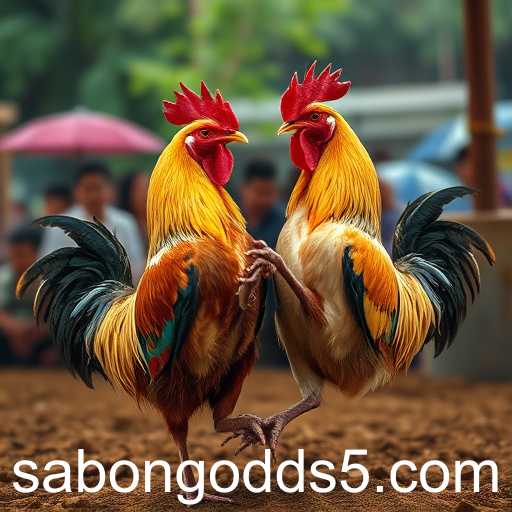 The Digital Evolution of Sabong: Exploring Upcoming Events and Sabong Odds