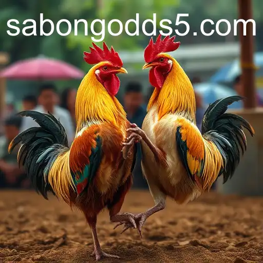 The Digital Evolution of Sabong: Exploring Upcoming Events and Sabong Odds