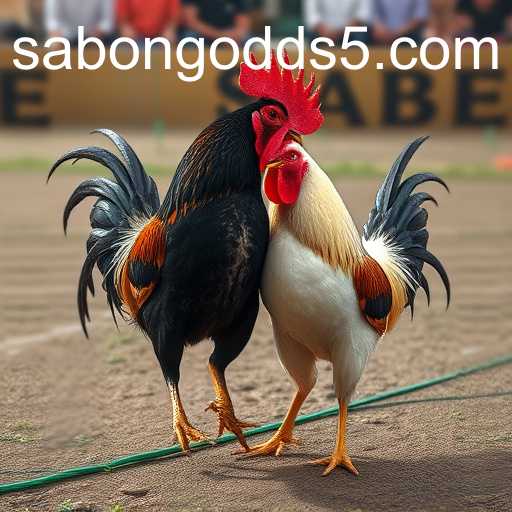 The Evolution of Sabong in the Digital Era