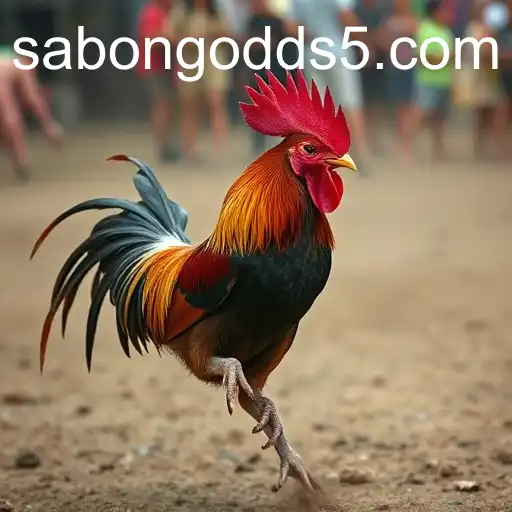 Sabong Odds and the Rise of Online Cockfighting in 2025
