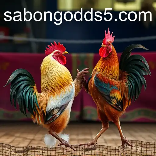 Understanding Sabong Odds: A Guide to Betting Tips in Online Cockfighting